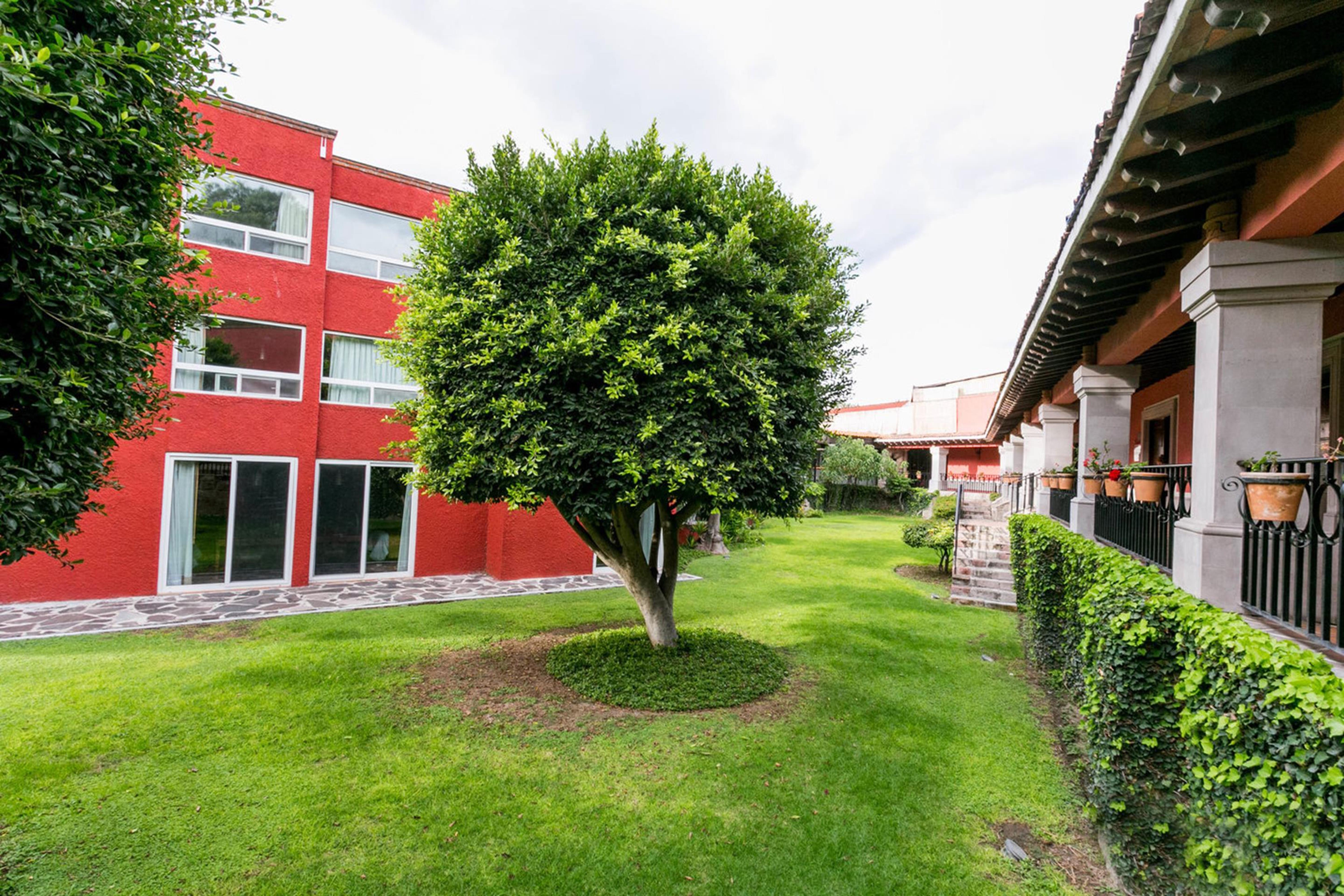 فندق ريال دي ميناس سان ميغيل دي الليندي المظهر الخارجي الصورة Campus de la Universidad Autónoma de La Laguna