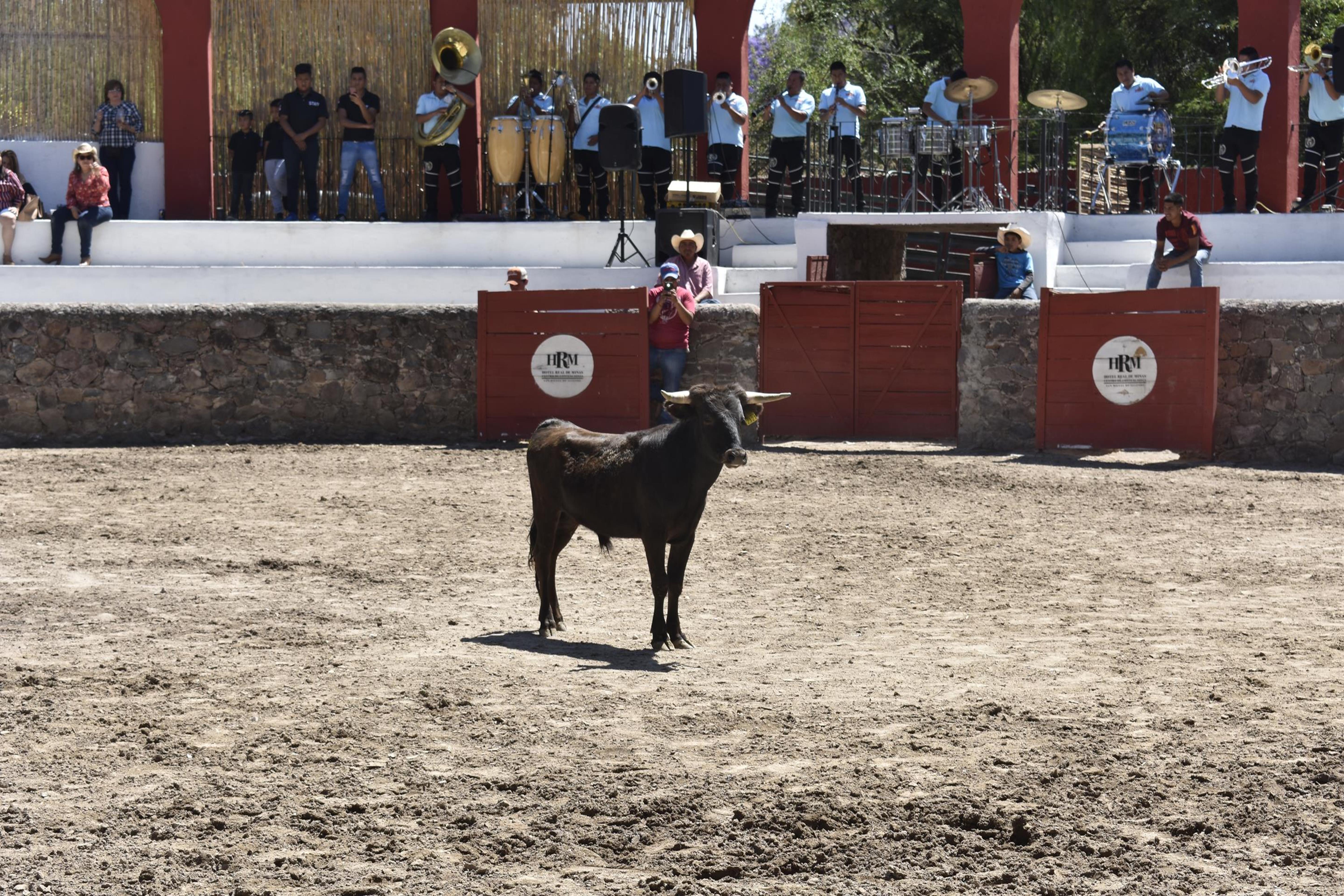 فندق ريال دي ميناس سان ميغيل دي الليندي المظهر الخارجي الصورة A bull in the bullring