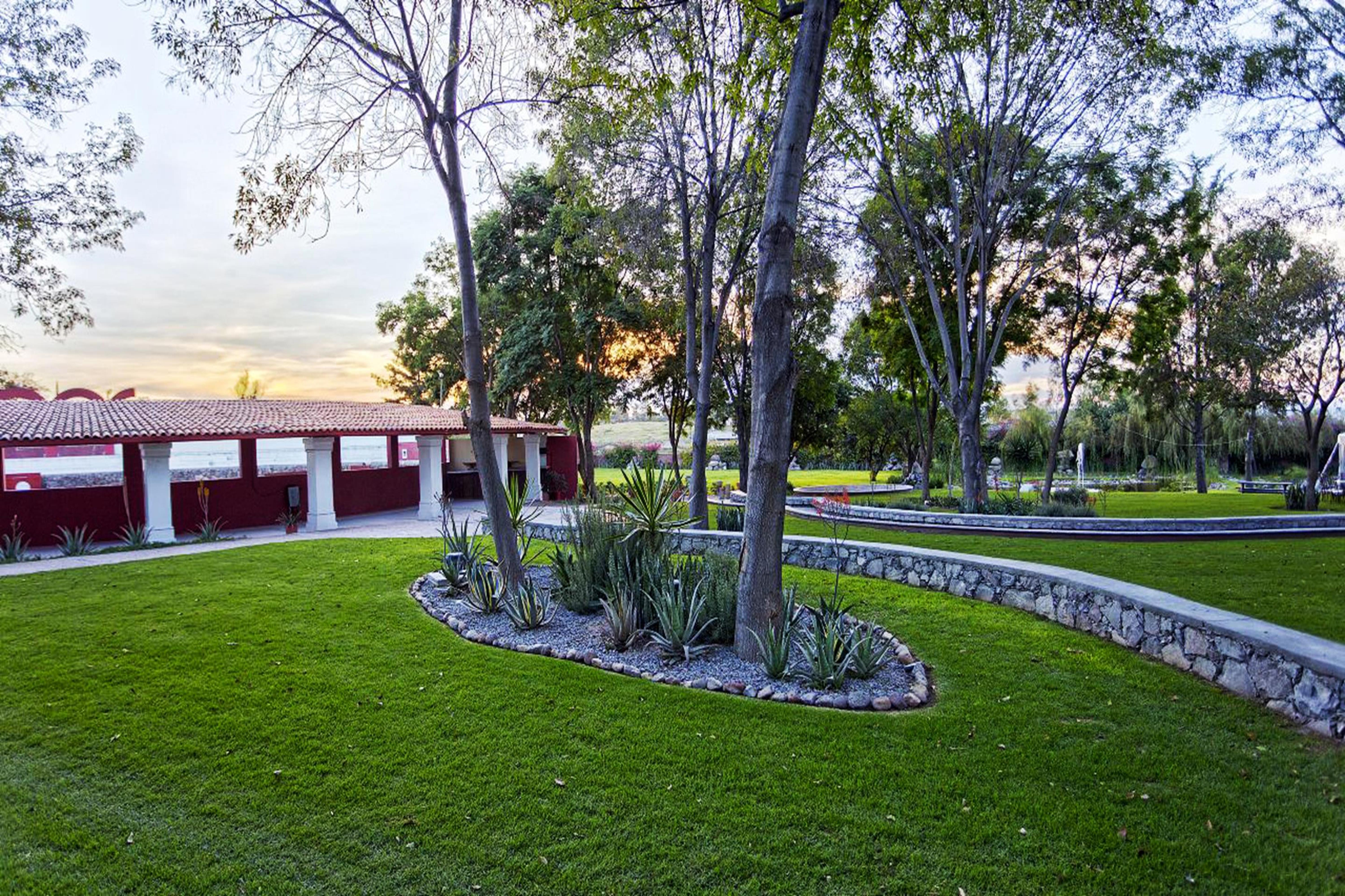 فندق ريال دي ميناس سان ميغيل دي الليندي المظهر الخارجي الصورة View of the park
