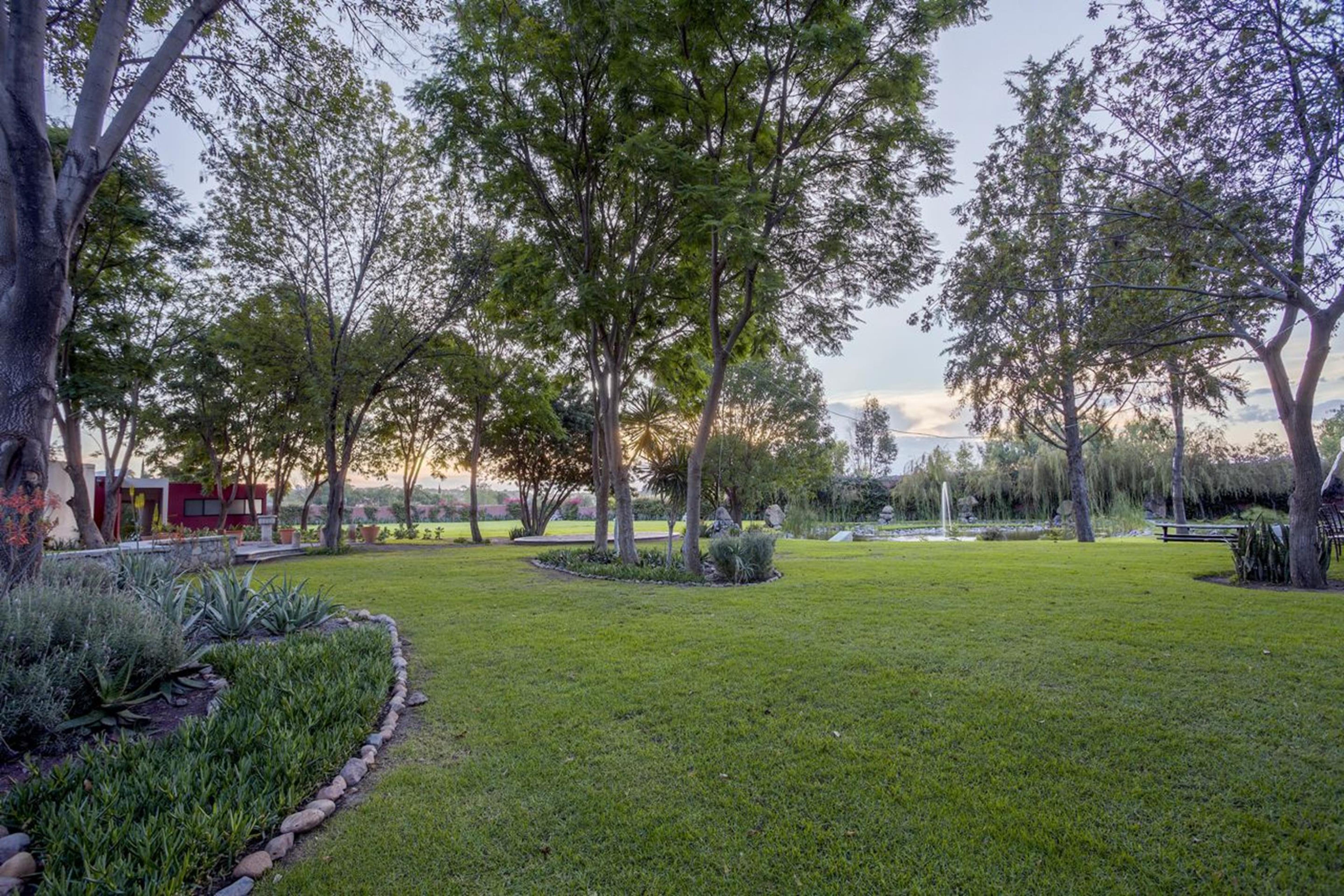 فندق ريال دي ميناس سان ميغيل دي الليندي المظهر الخارجي الصورة The park